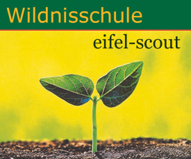 Logo Wildnisschule Eifel-scout